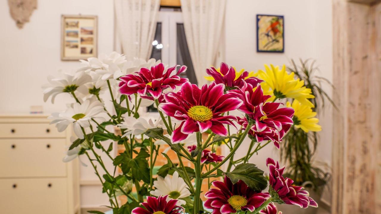 Apartmán Cote Ensoleille Pula Exteriér fotografie